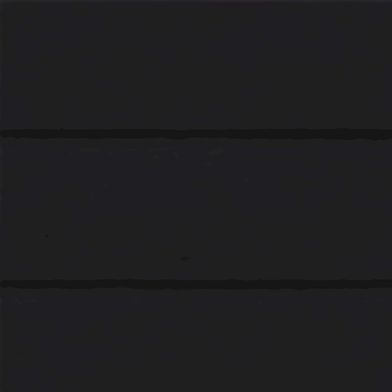 Zwart(RAL 9005)