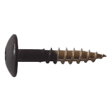 Bevestigingsschroeven RVS 25 mm